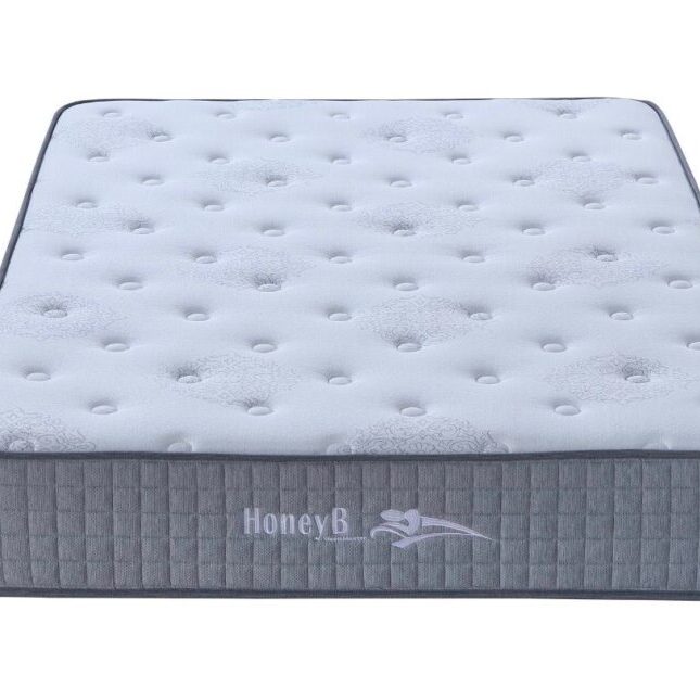 WhatsApp Image 2026-01-26 at 10.44.35 (5)